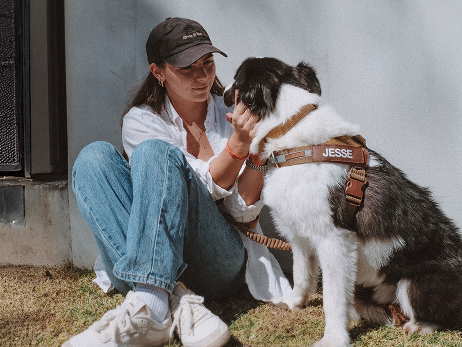 Dog Obedience Training Tips