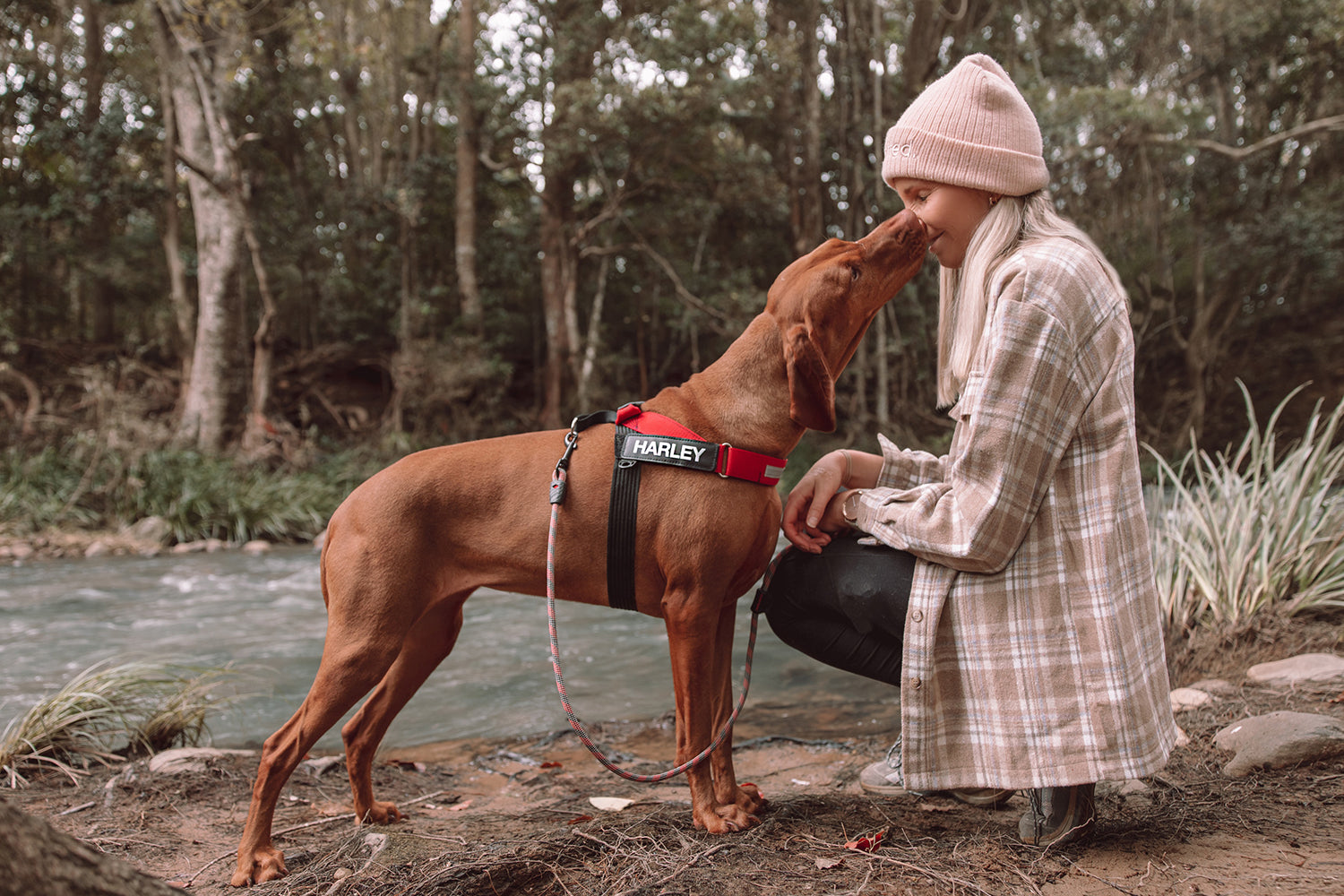 Walks made easy. Stop your dog pulling