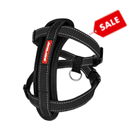 Dog Accessories Sale