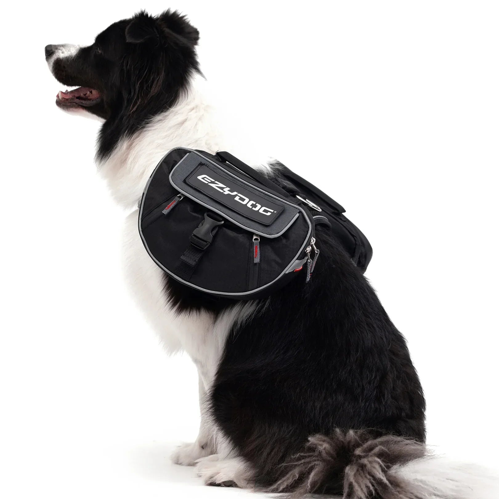 Dog Backpacks