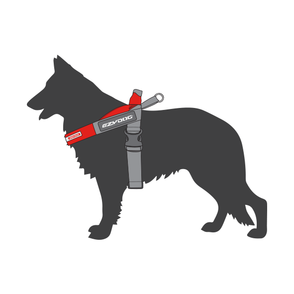 Shop Dog Harnesses, Collars & Leashes