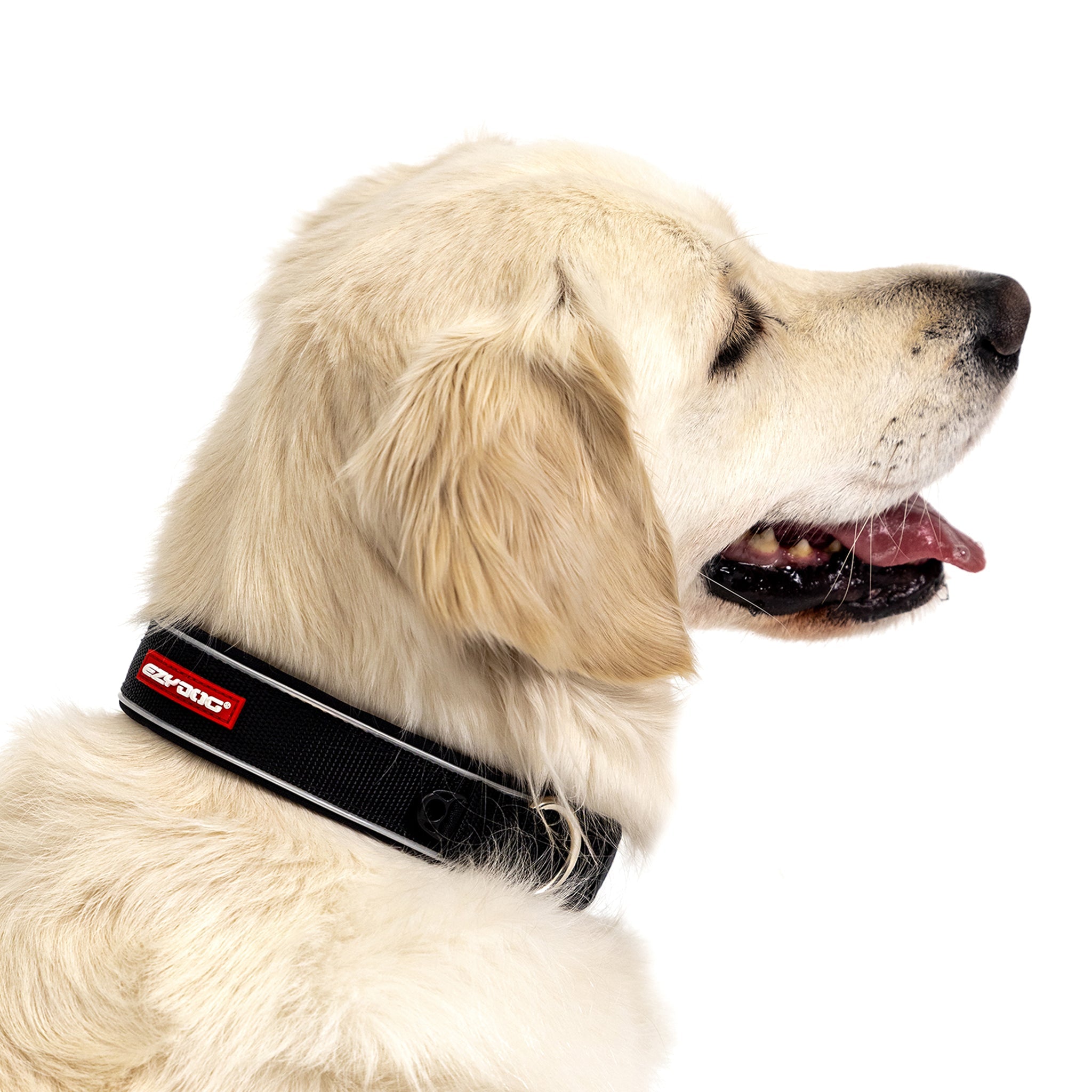 Neo-Klassisches Halsband