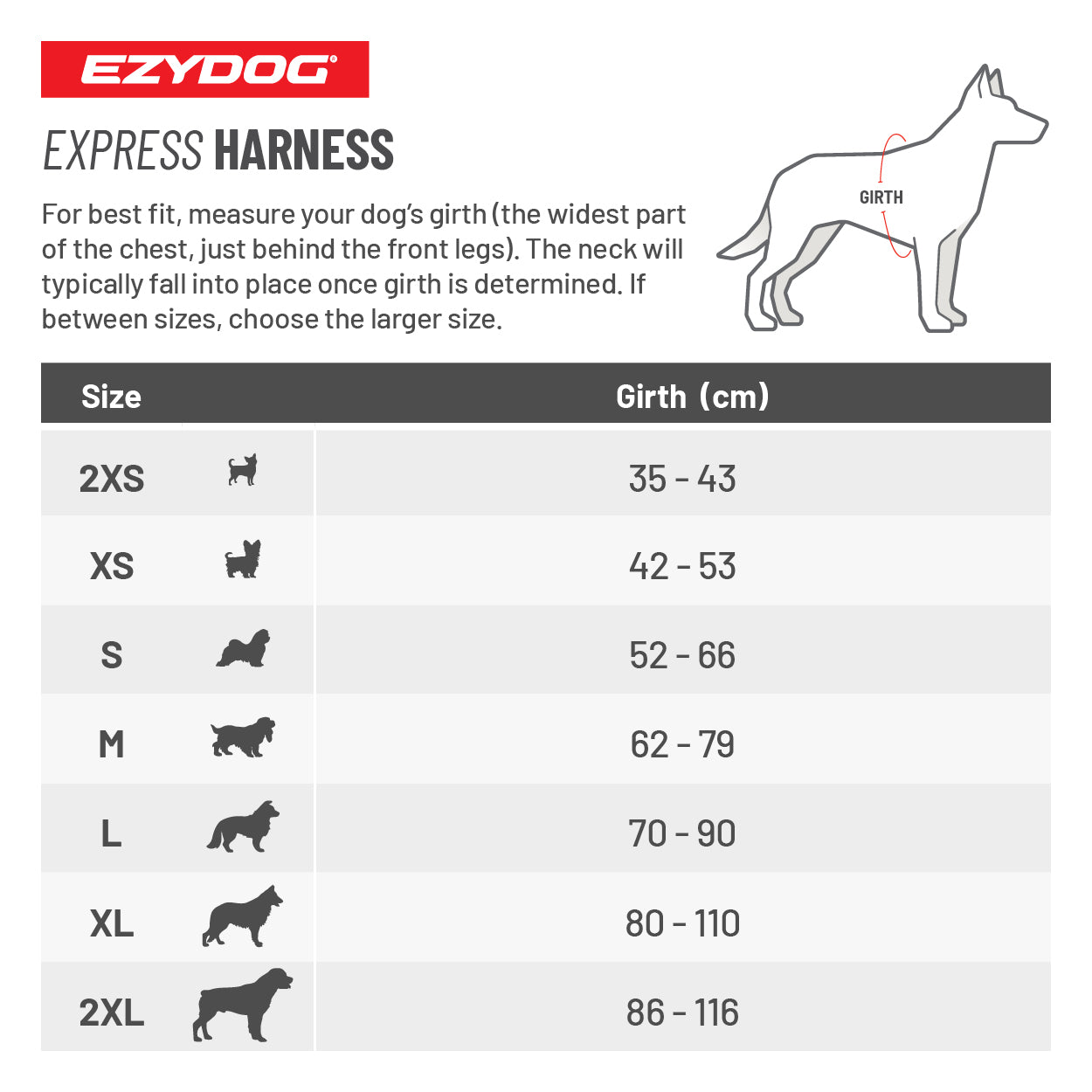 Pack Explorador de Invierno