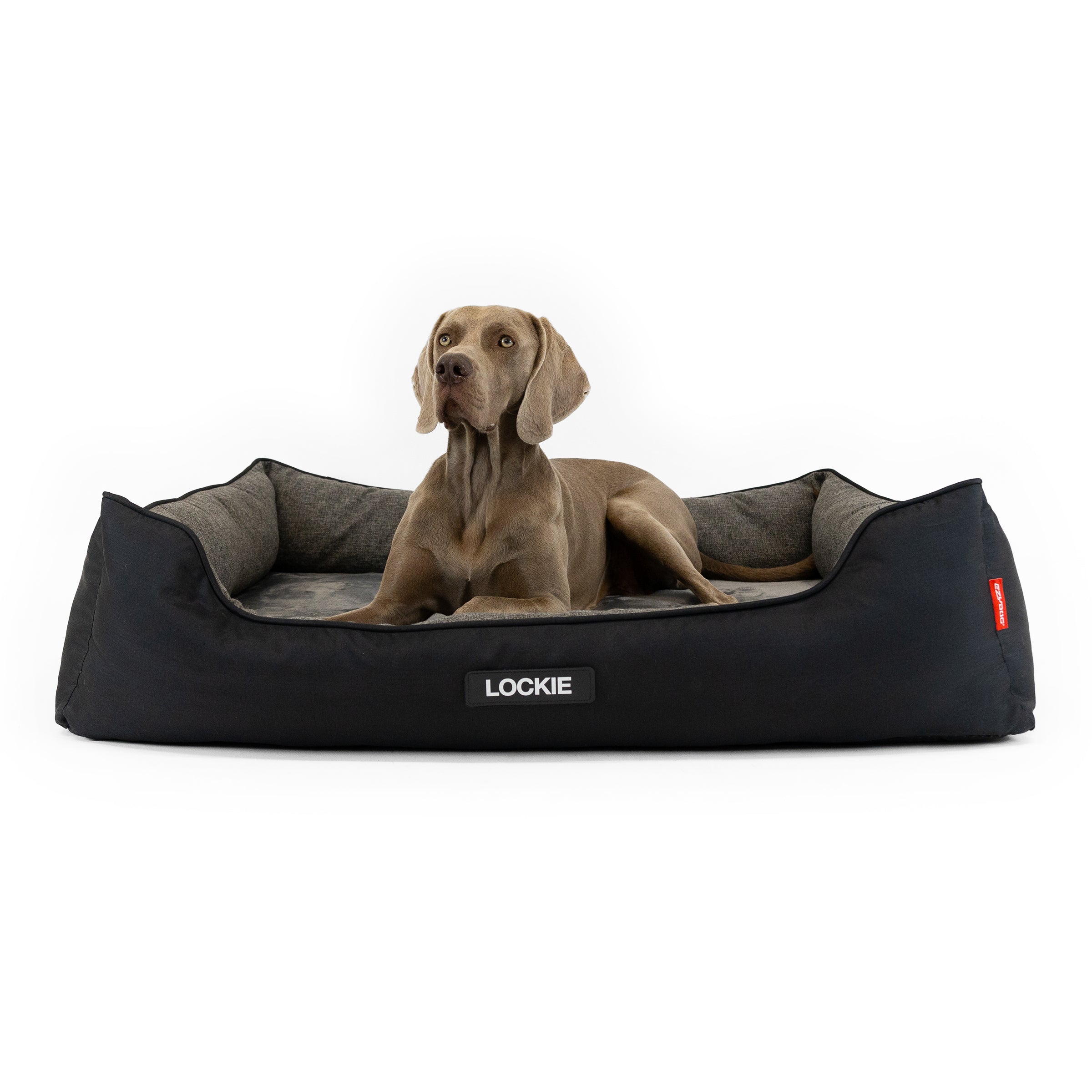 Lit orthopédique intelligent 2 en 1 pour chien