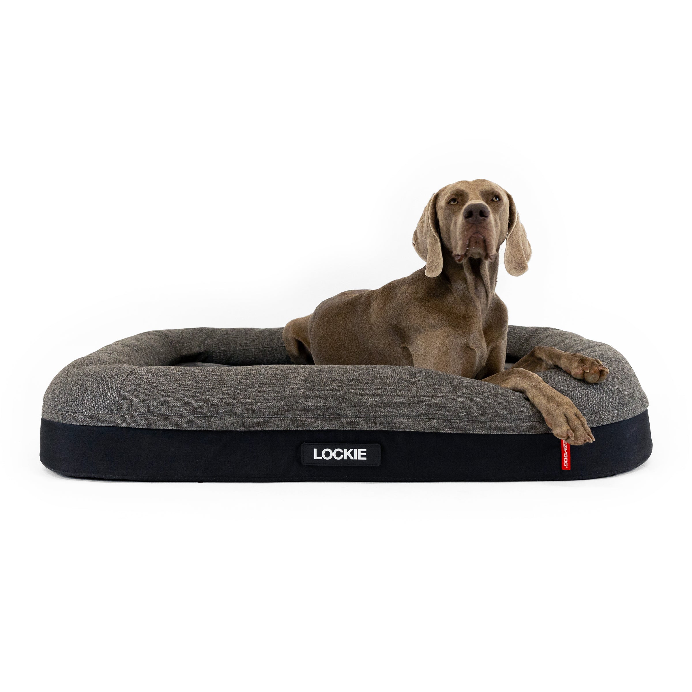 Lit pour chien 2 en 1 Ortho Calm Elite
