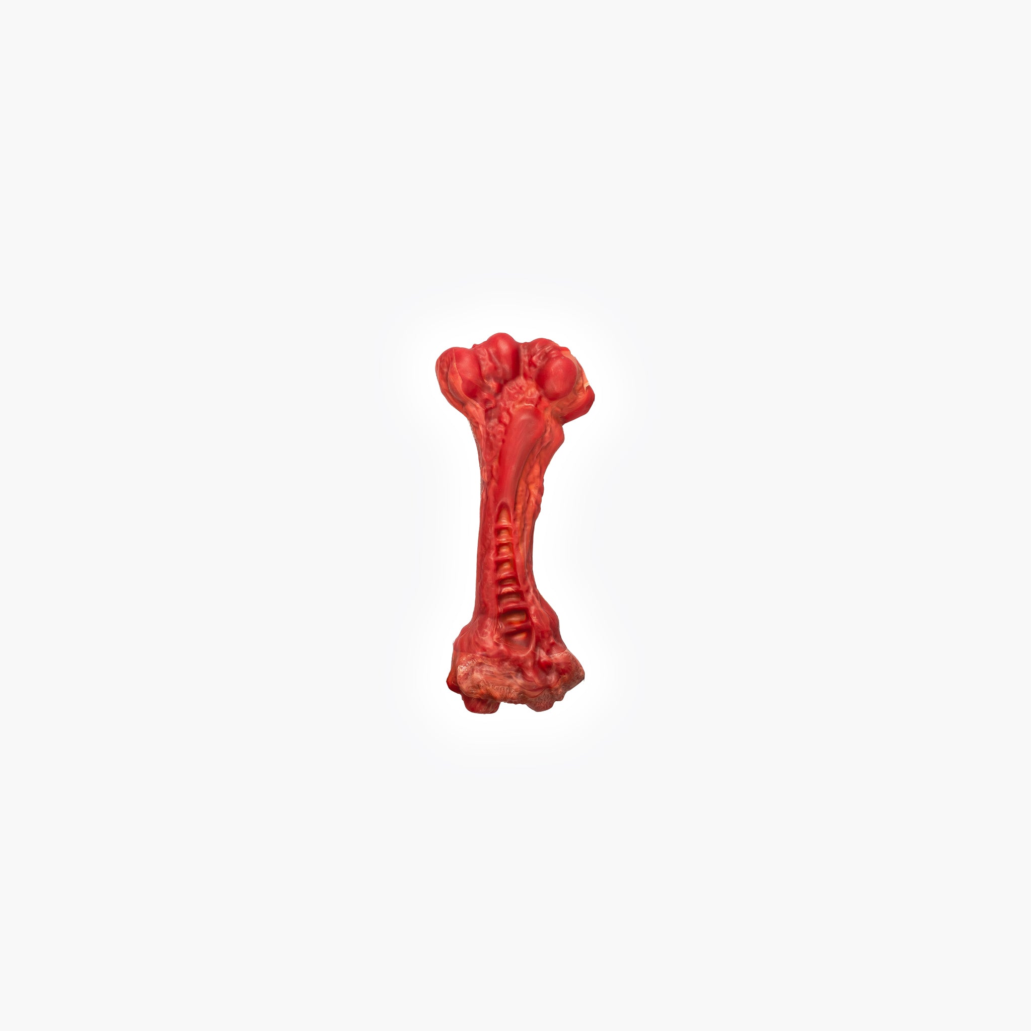 EzyBones kauwspeeltje