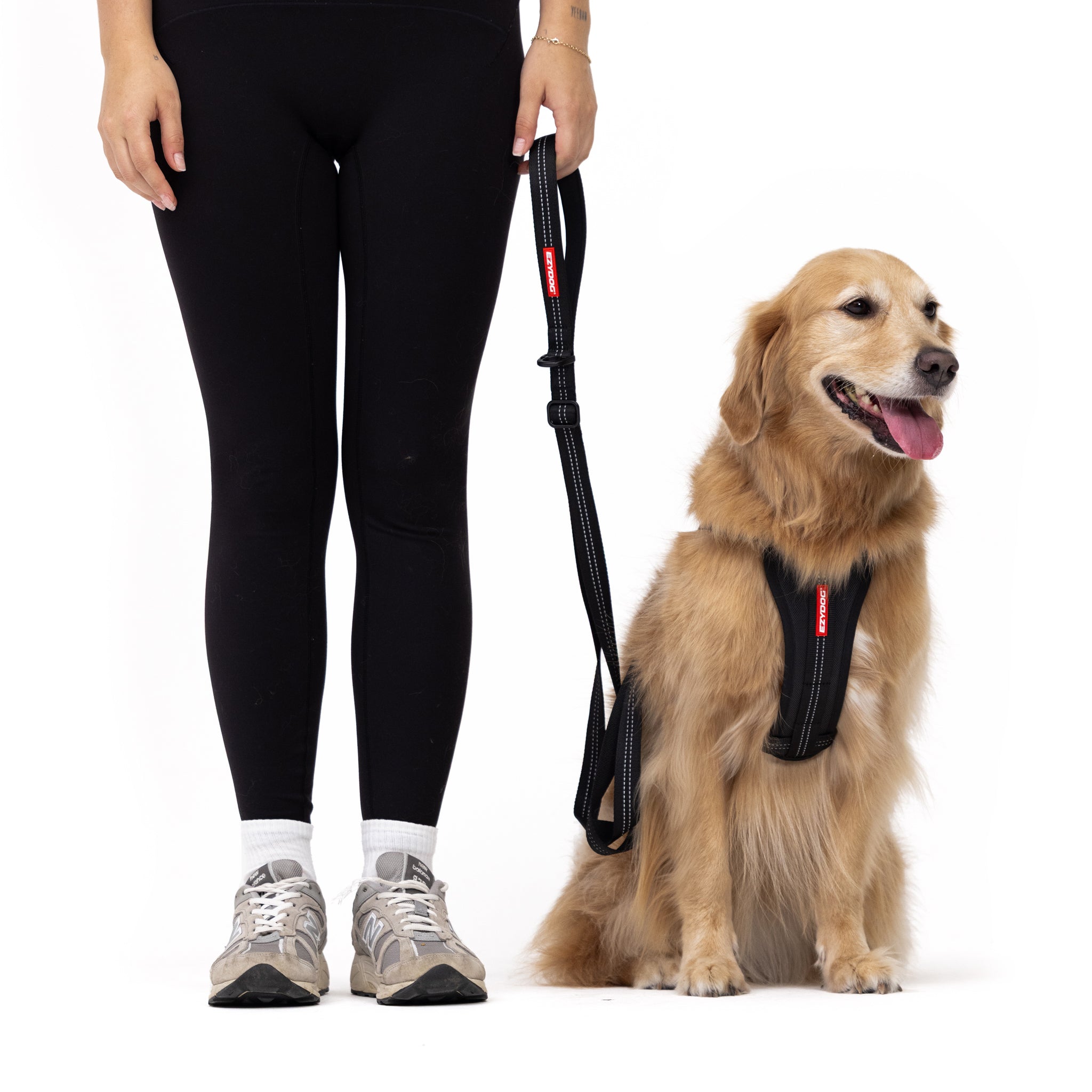 Person wearing black leggings and sneakers with a dog on a leash, on a white background