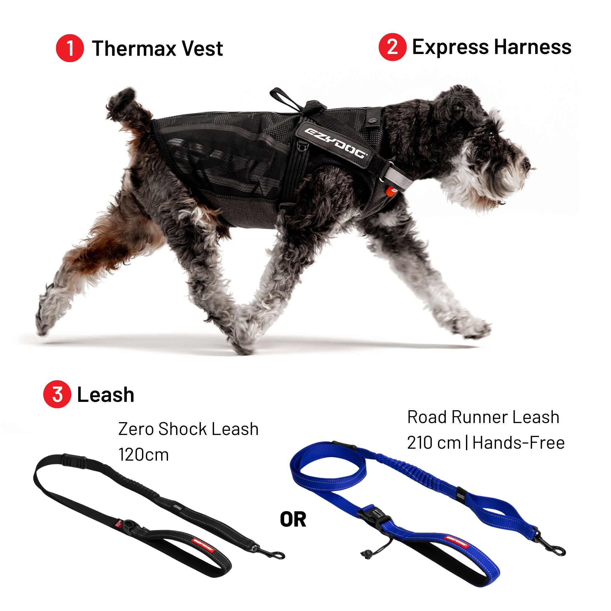 Winter Explorer Bundle