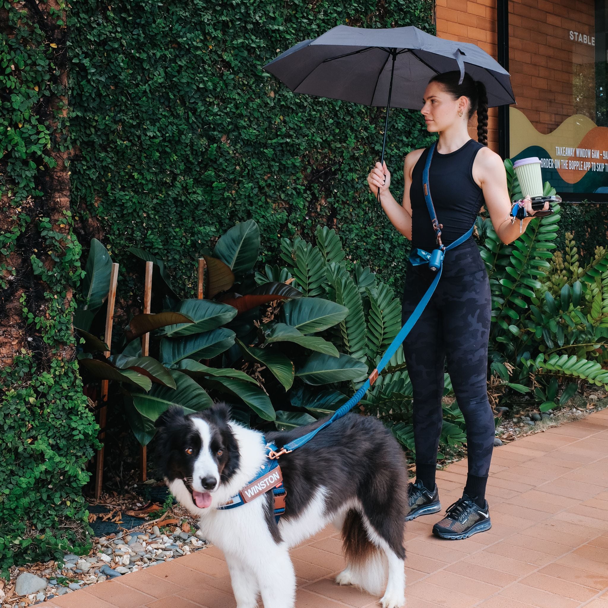 Pack Explorador de Invierno