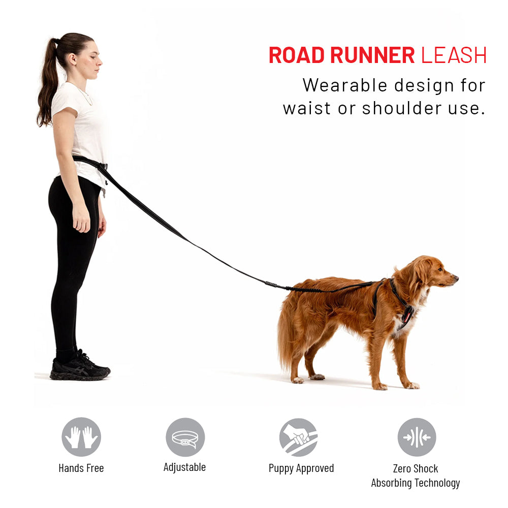 Winter Explorer Bundle