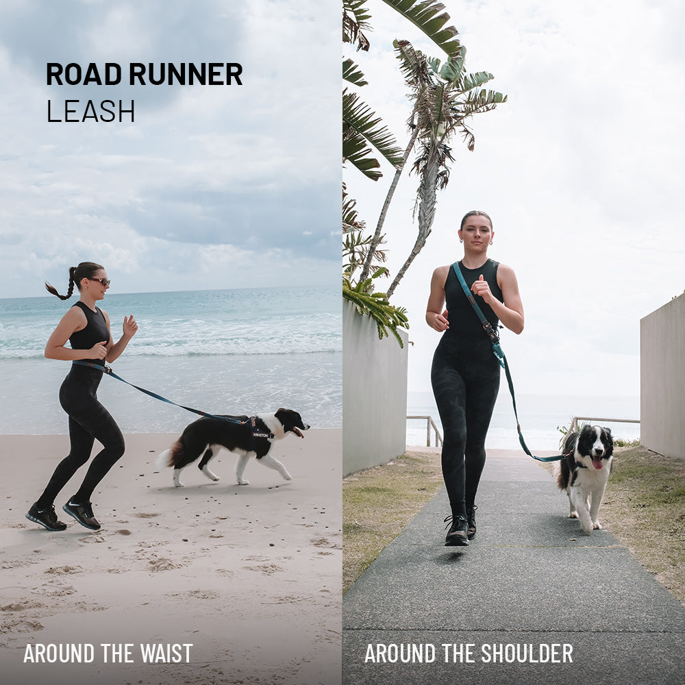 Winter Explorer Bundle