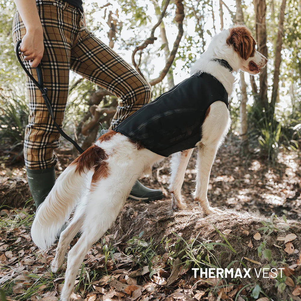 Winter Explorer Bundle