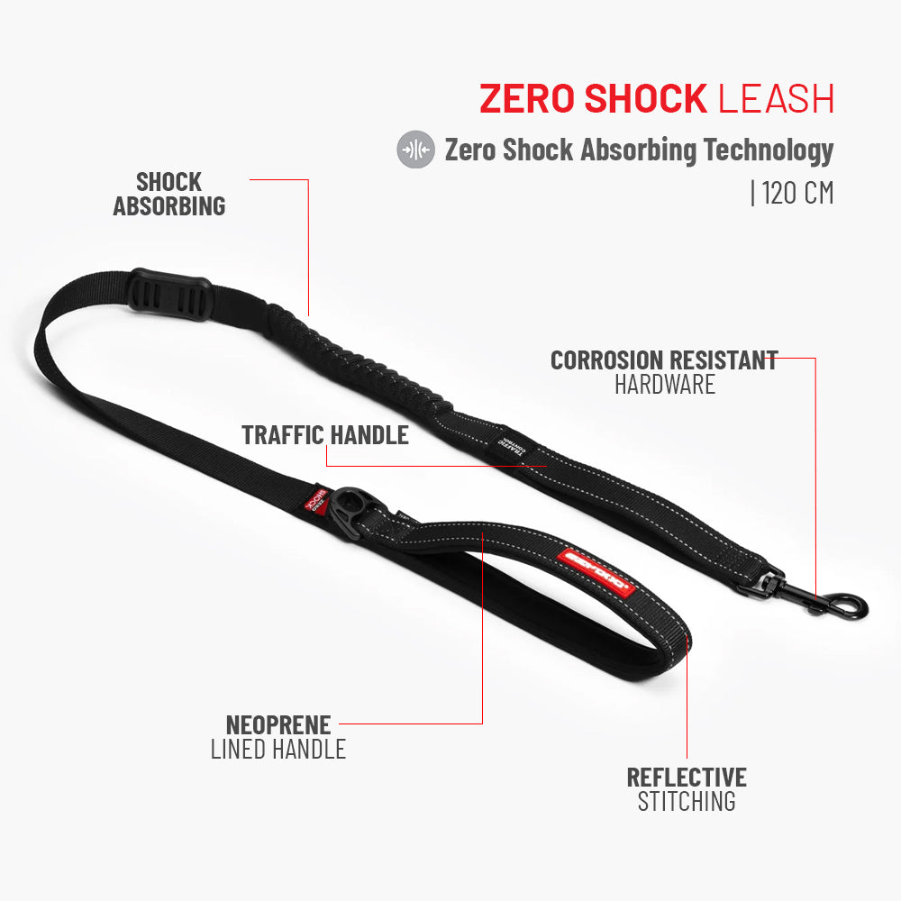 Winter Explorer Bundle