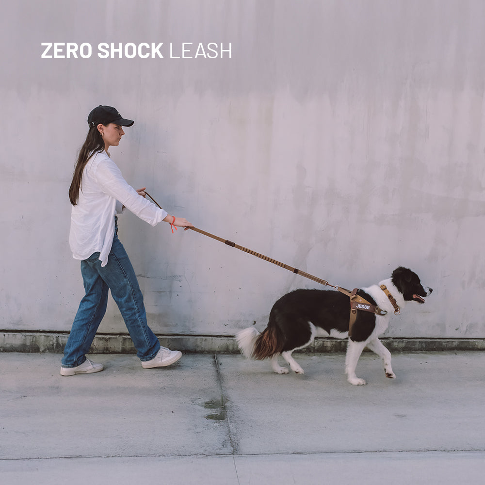 Winter Explorer Bundle