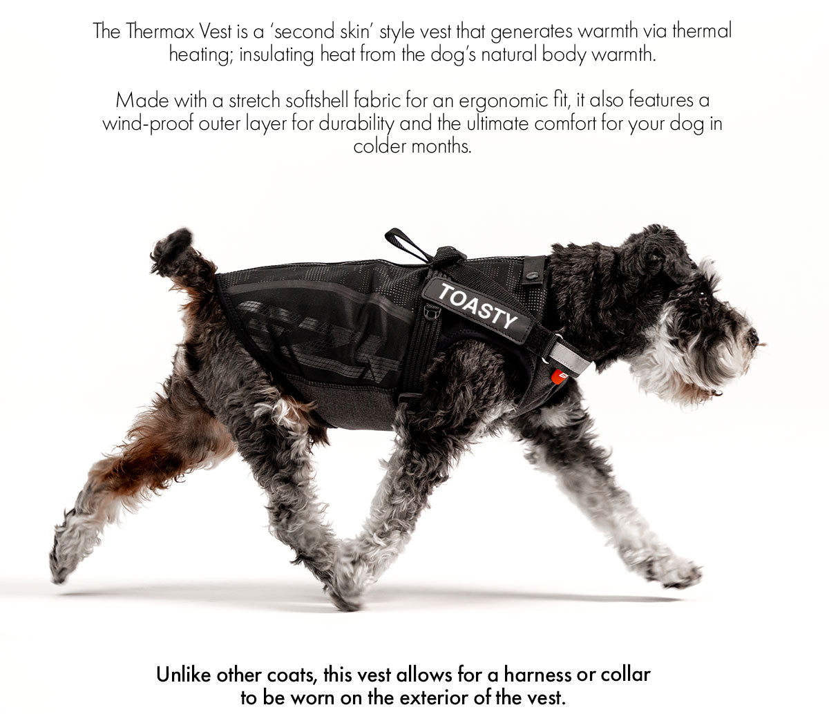 Winter Explorer Bundle