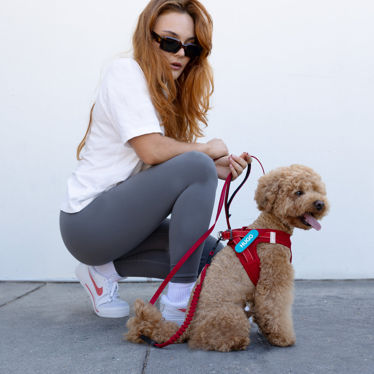 Hundegeschirr richtig anlegen und einstellen | EzyDog