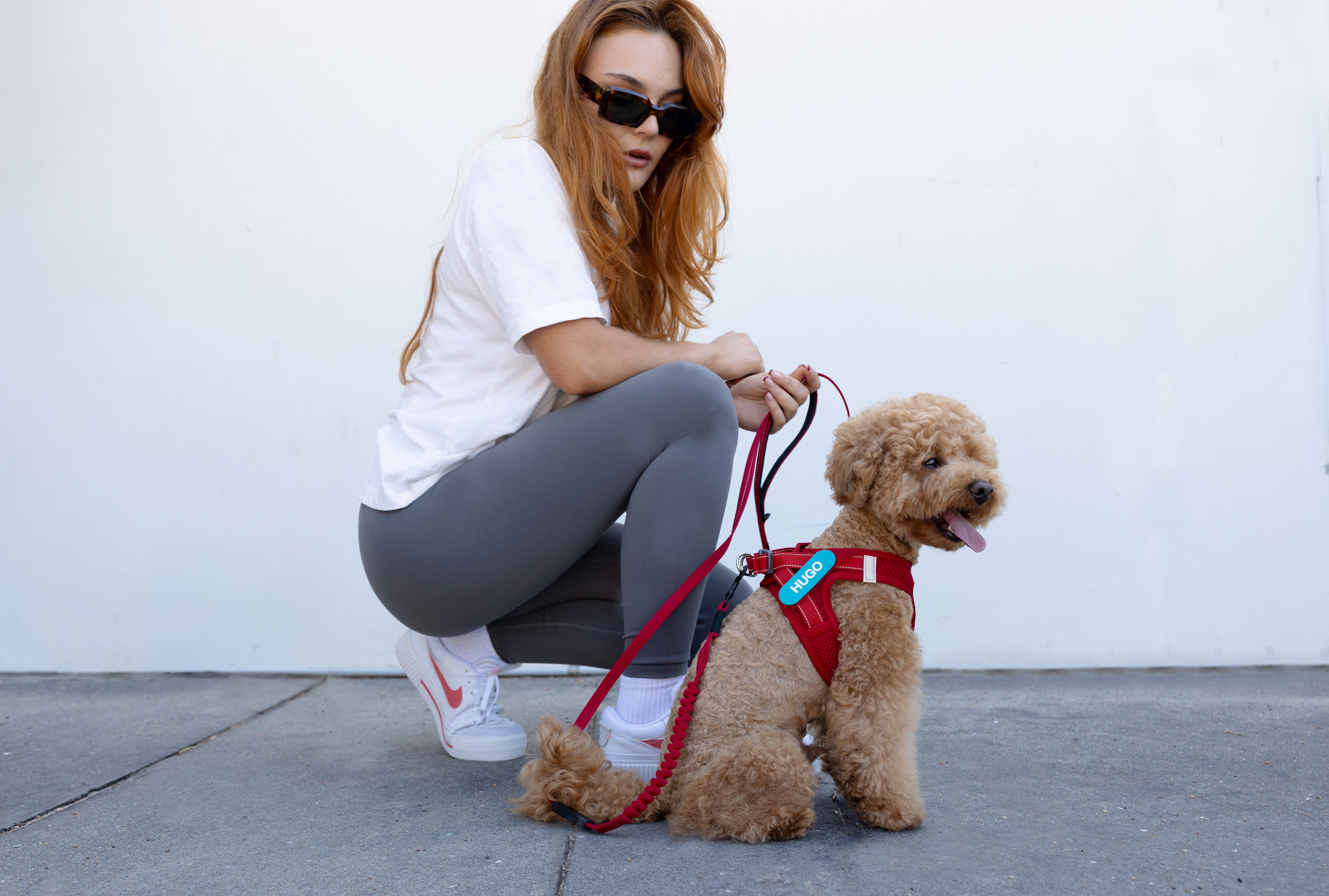 How to Fit a Dog Harness Properly: Step-by-Step Guide