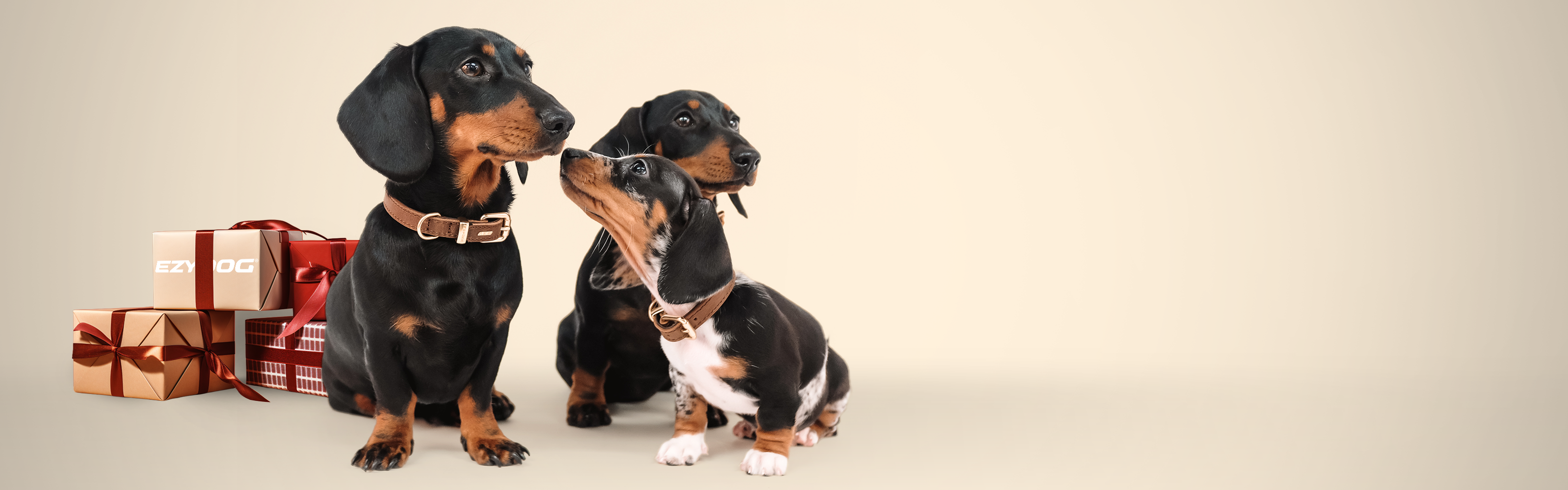 Best Dog Christmas Gifts in Europe 2025: 9 Best Picks + Bonus Surprise