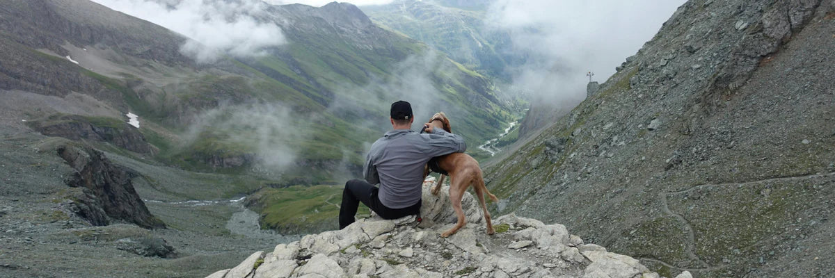 Best Dog Harnesses for Hiking: Loved by European Dog Owners