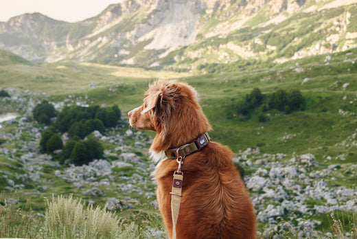 Our Top 8 Best Sellers of All Time…