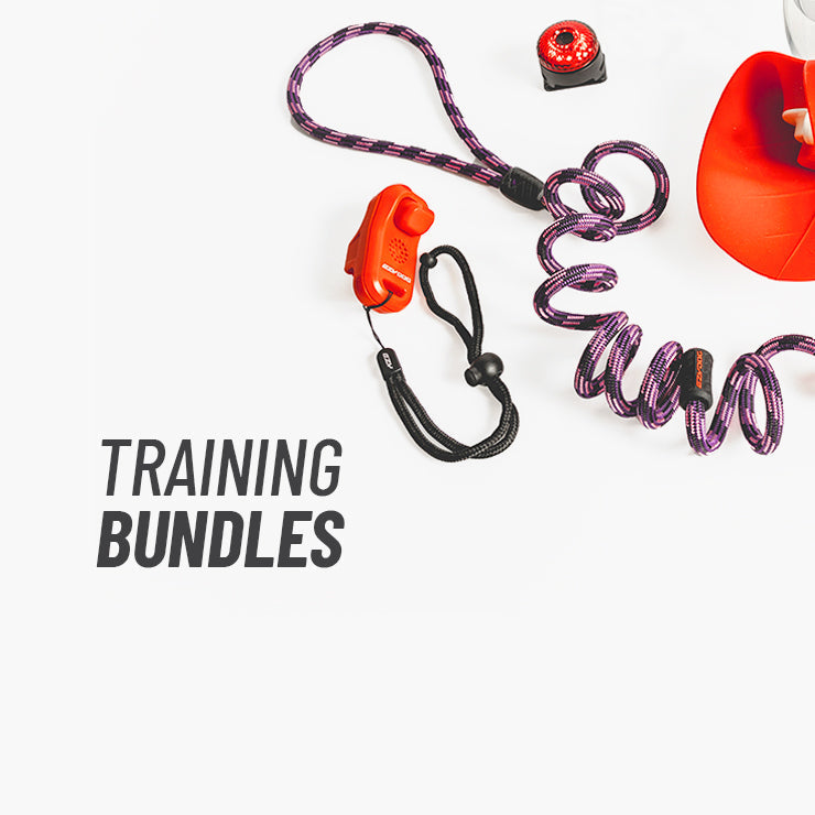 training bundles