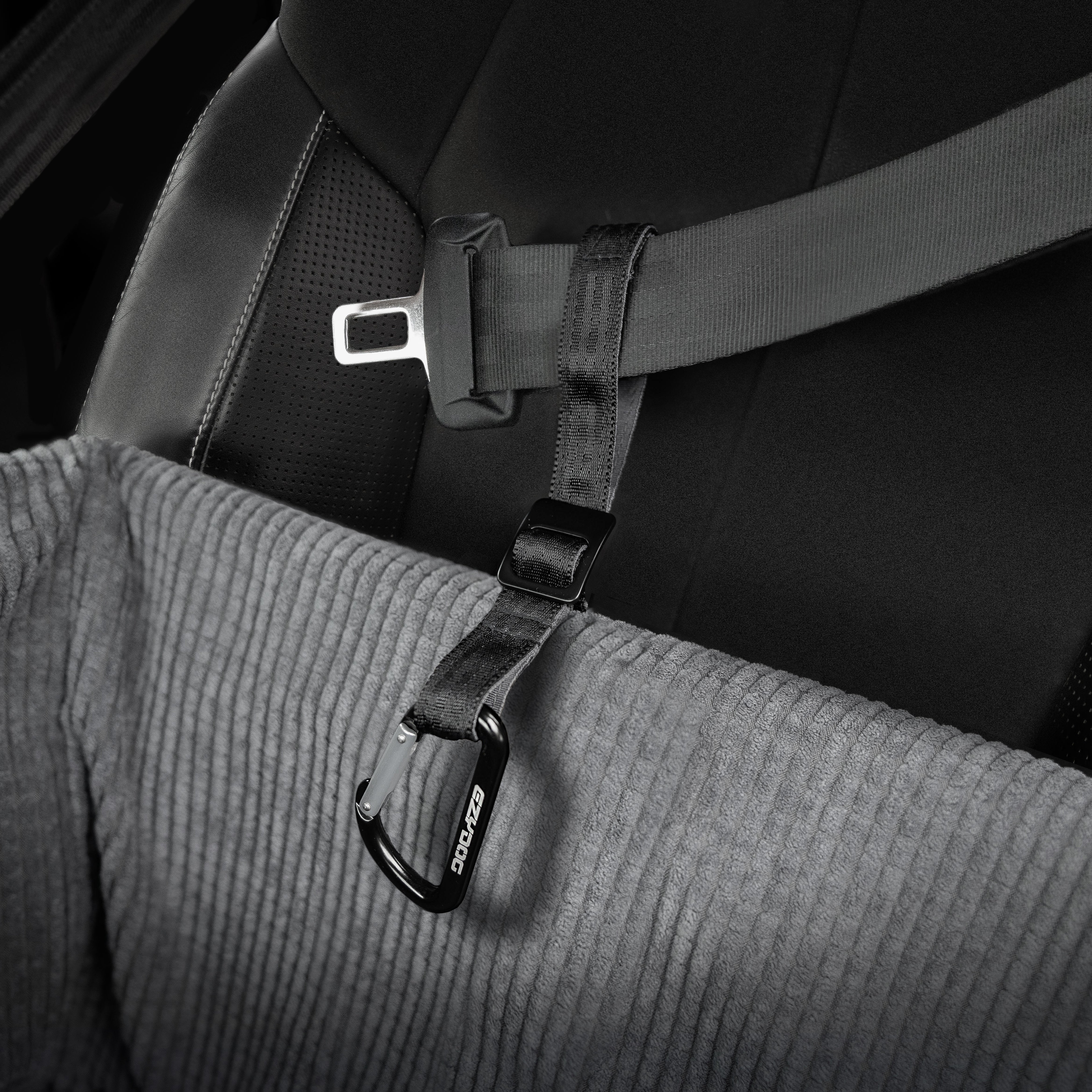 Dog Car Seat Belts