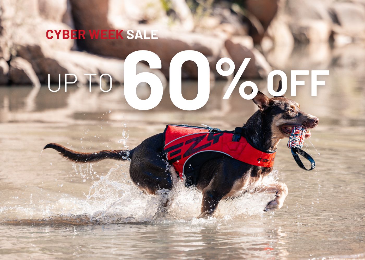 CYBER WEEK UP TO 60% OFF