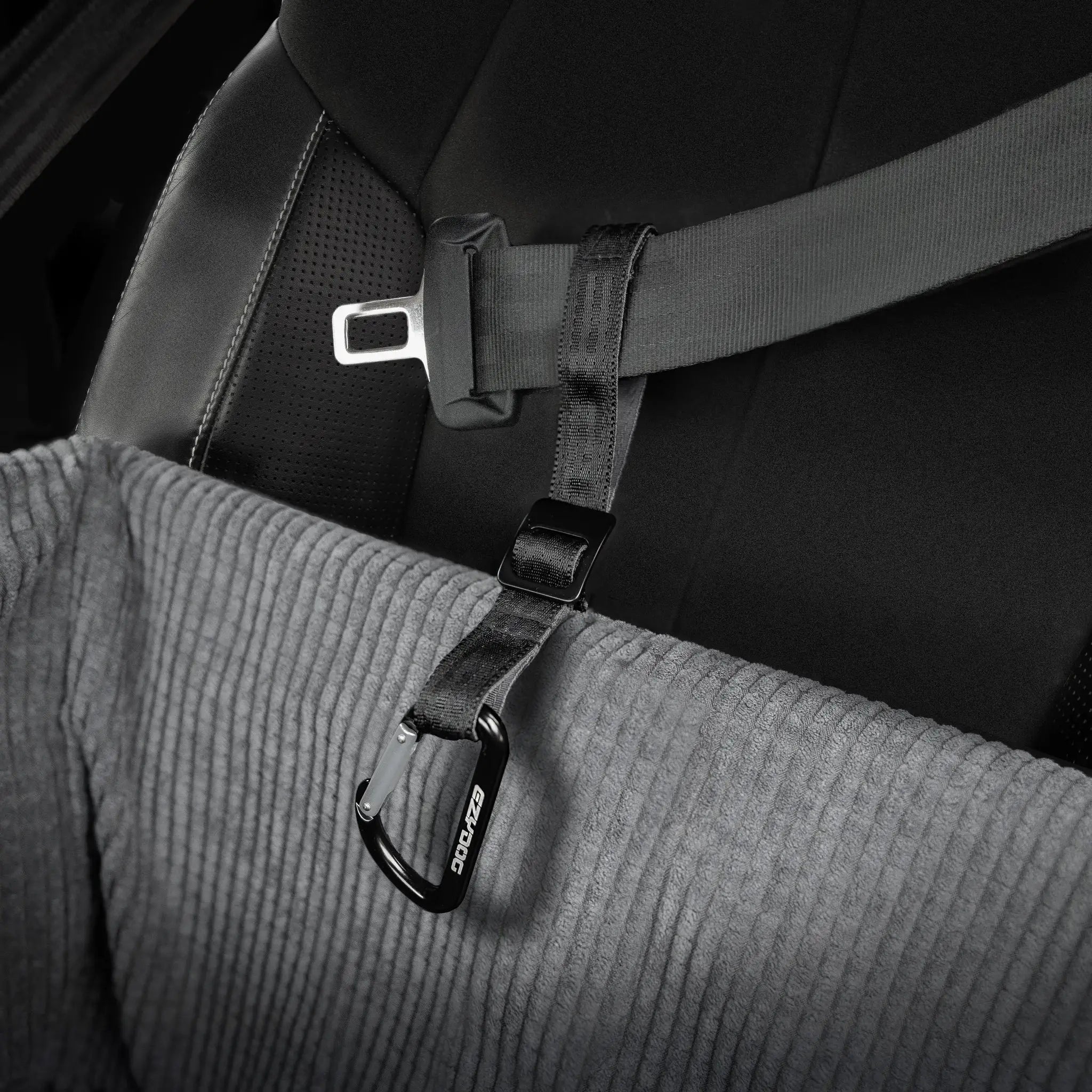 dog car seat belts