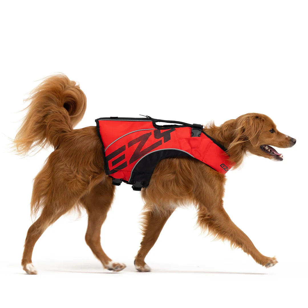 dog life jacket