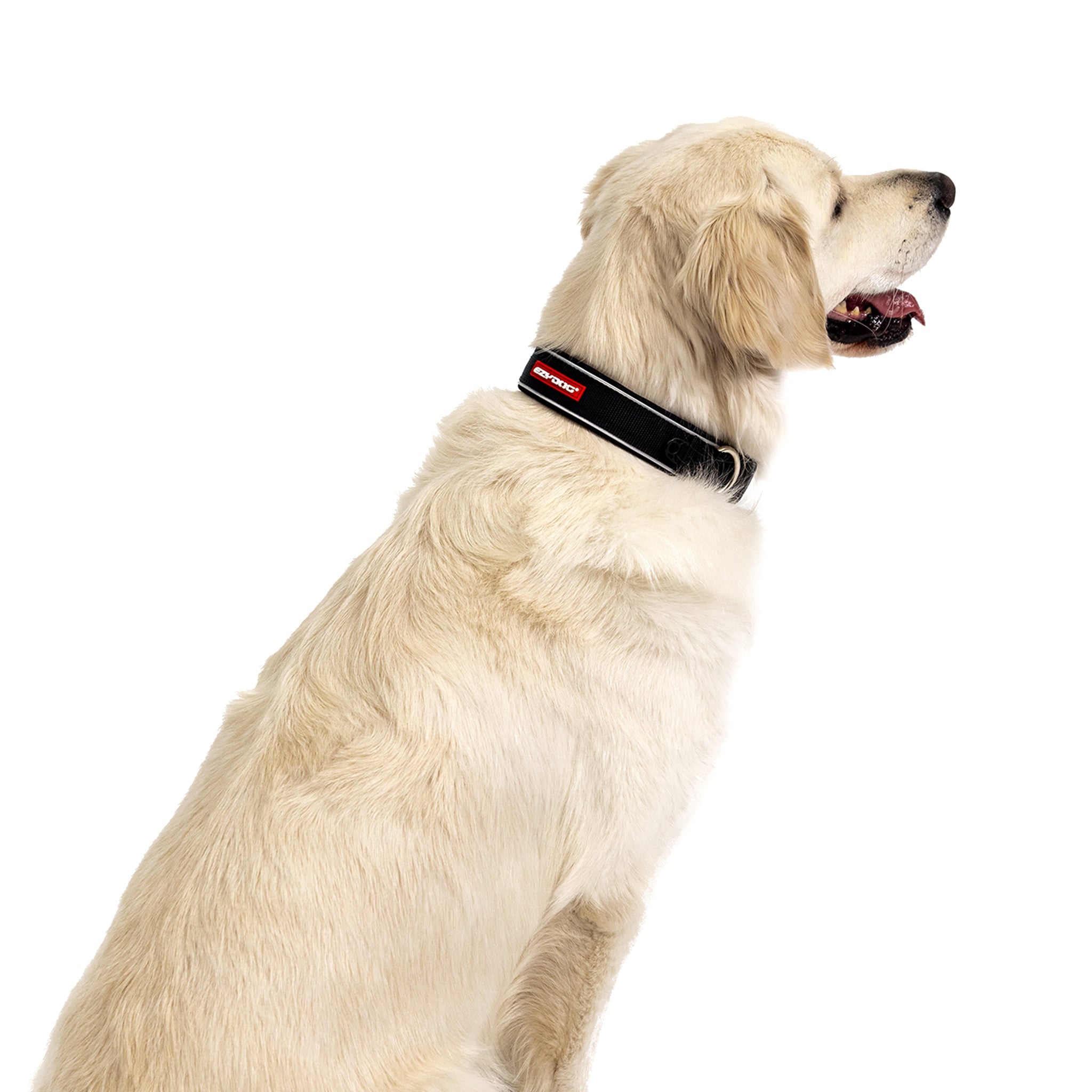 Neo-Klassisches Halsband