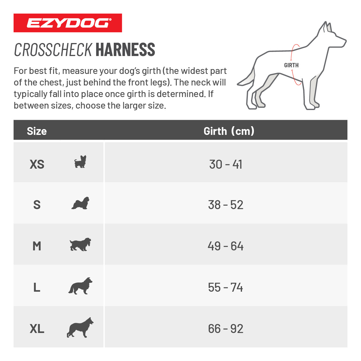 Training Essentials Bundle