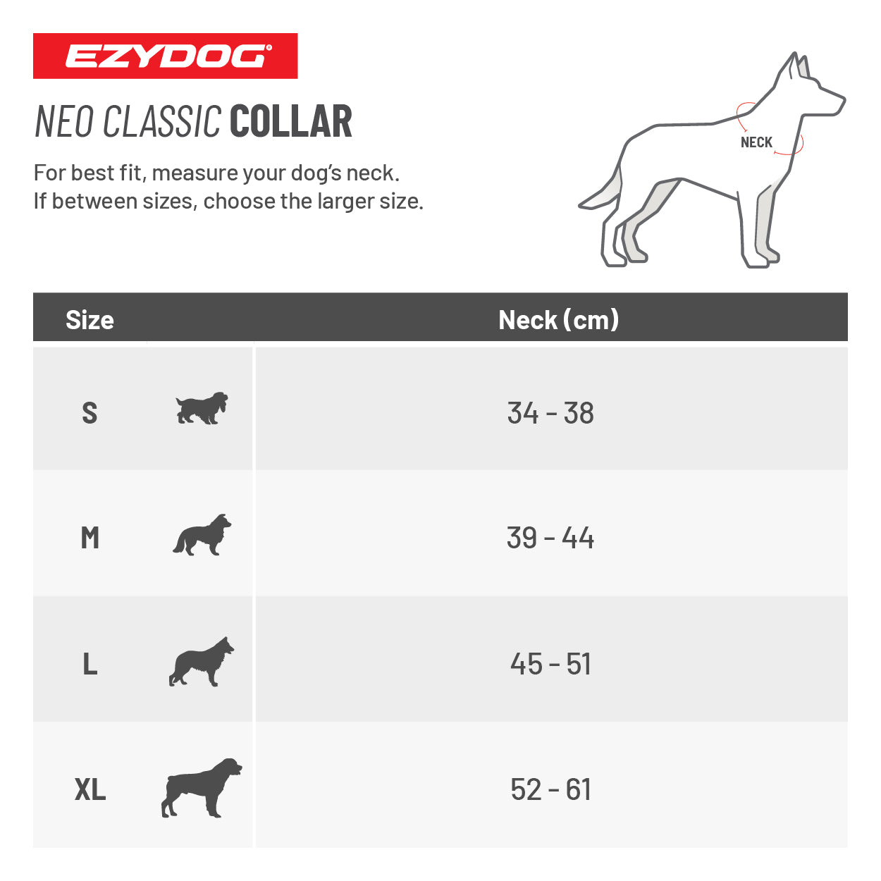 Water Explorer Bundle