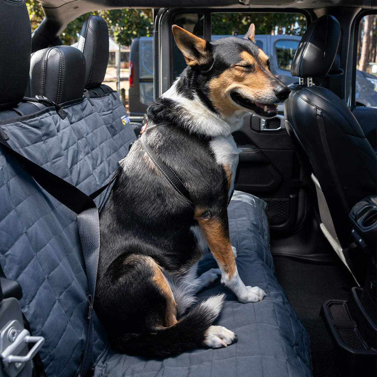 Drive - Autositzbezug für Hunde