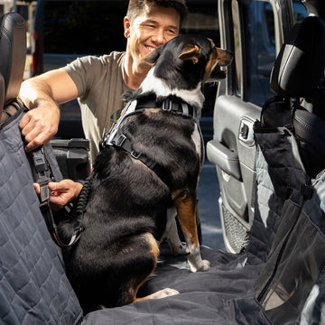 Auto Hängematte für Hund