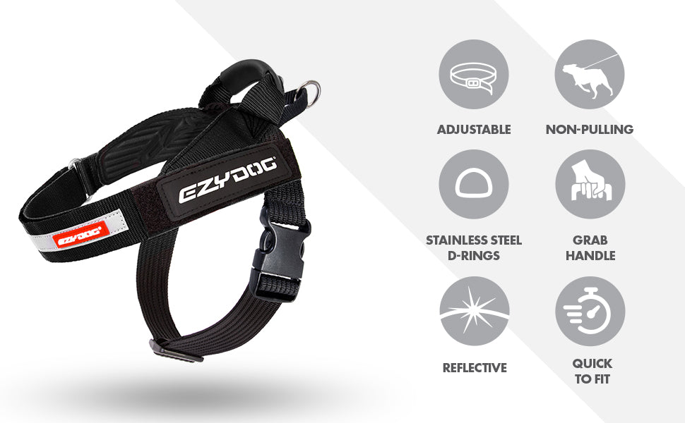 Pack Explorateur d’Hiver