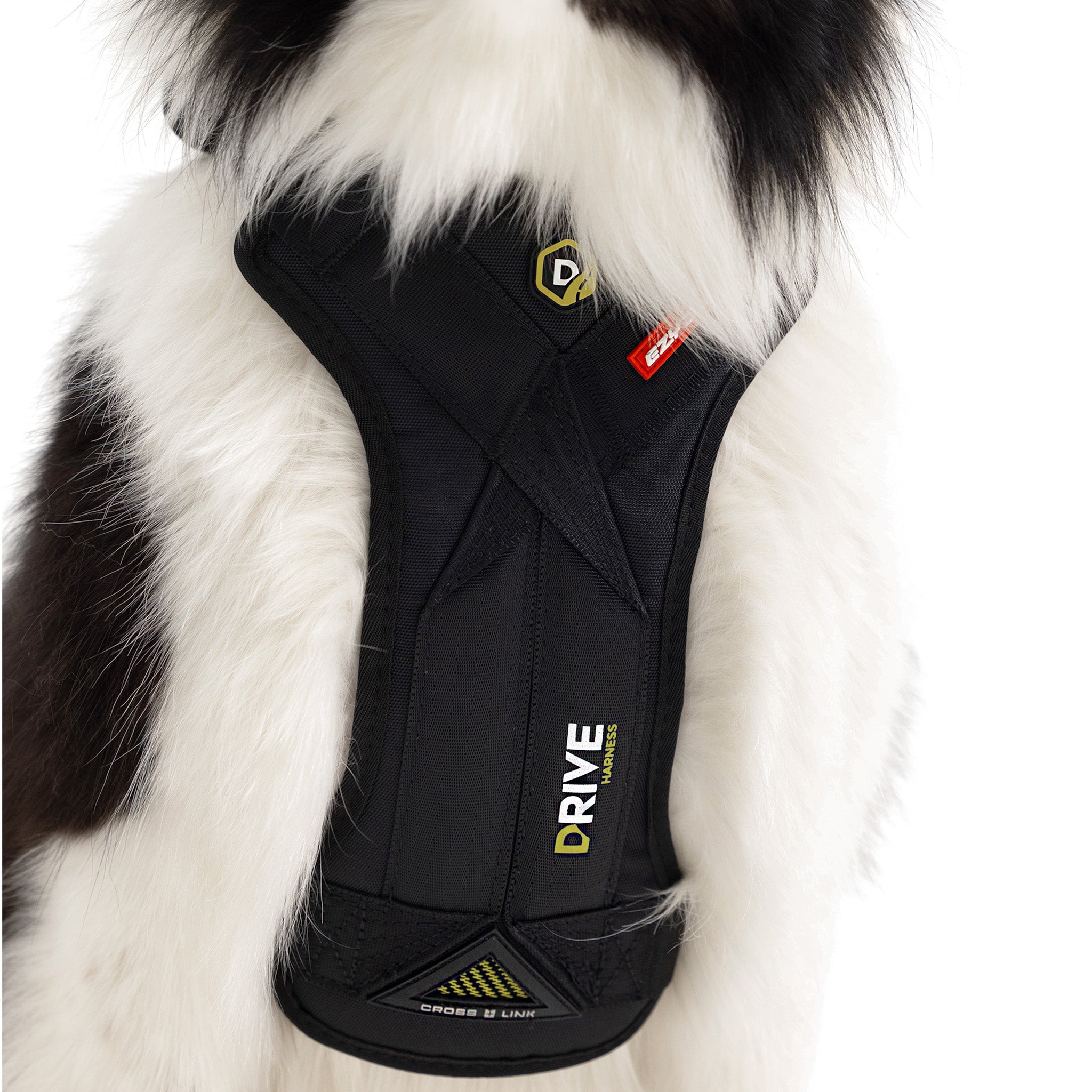 Close-up view of Border Collie wearing EzyDog Drive Dog Car Harness – Crash-Tested Pet Safety Gear
