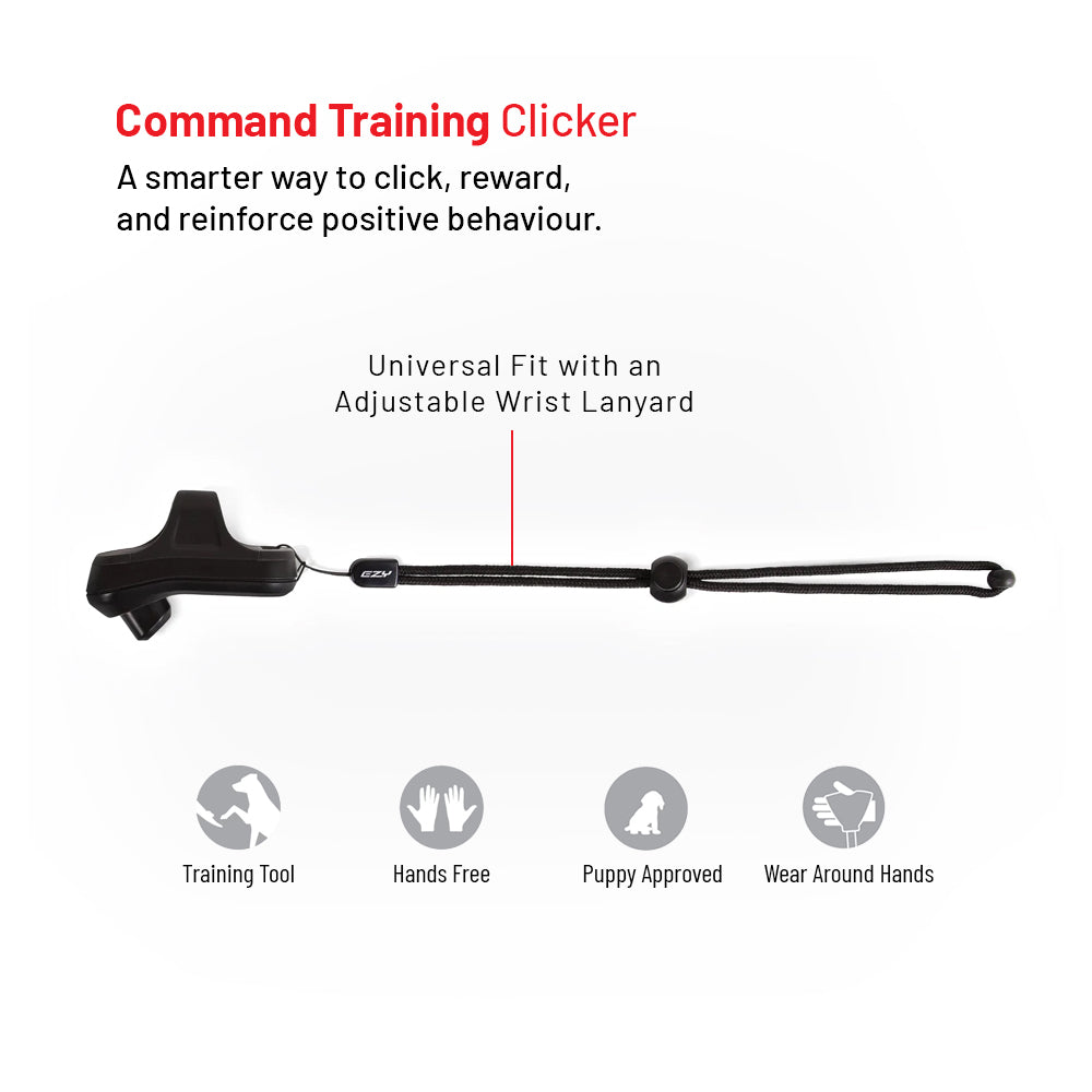 Training Essentials Bundle