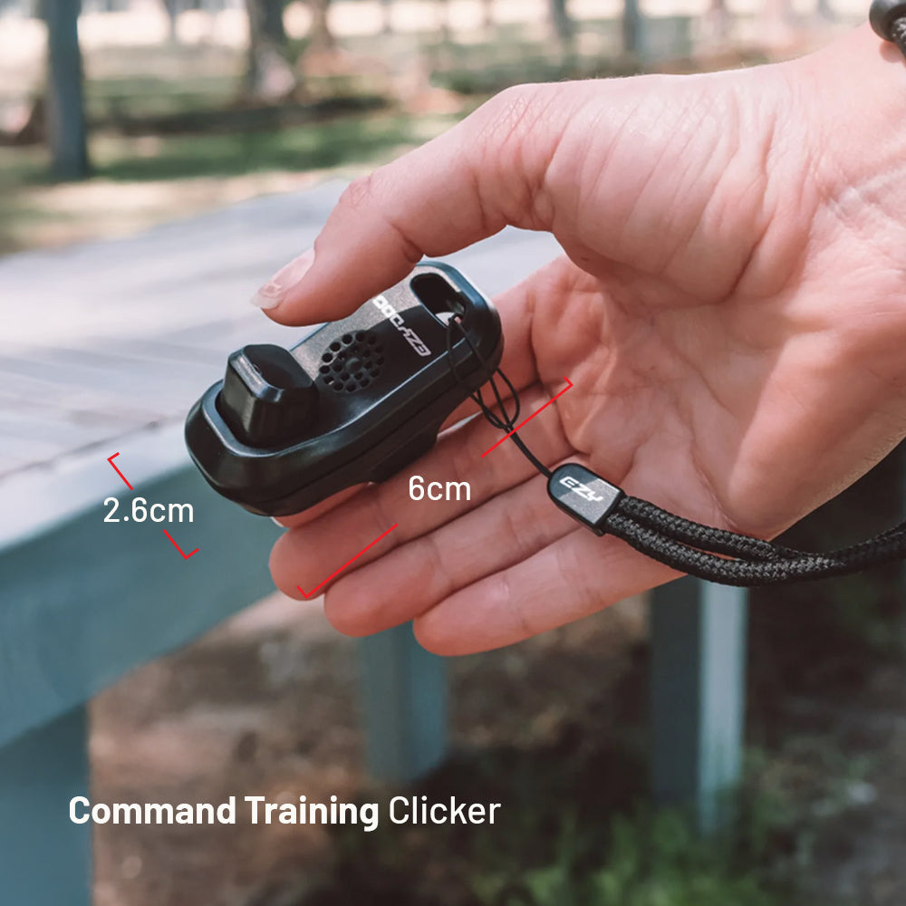 Training Essentials Bundle