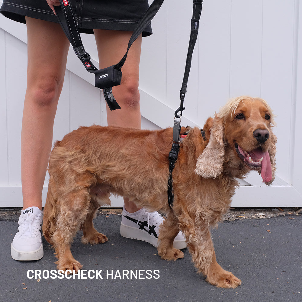 Training Essentials Bundle