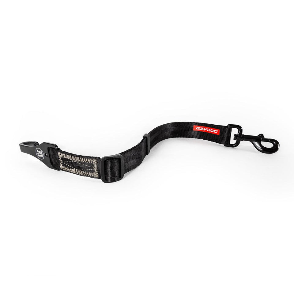 Click ISOFIX Cargo Seatbelt Attachment