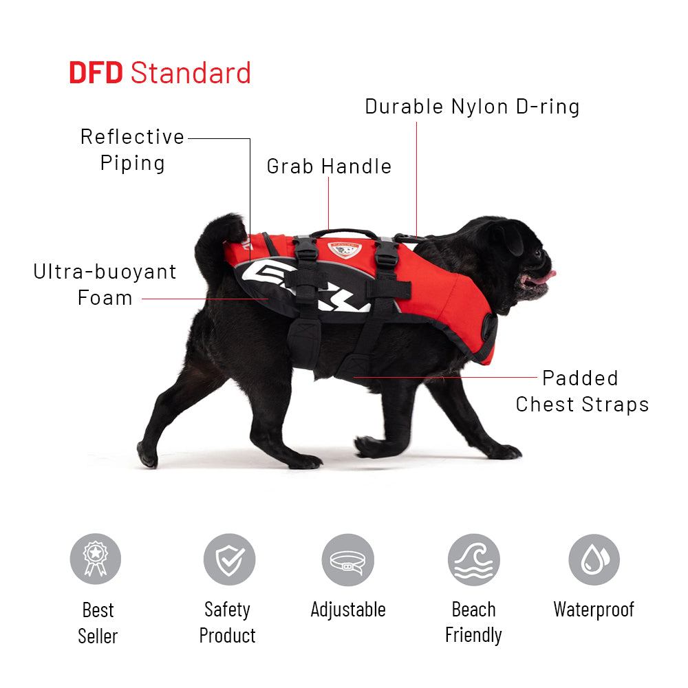 Water Explorer Bundle