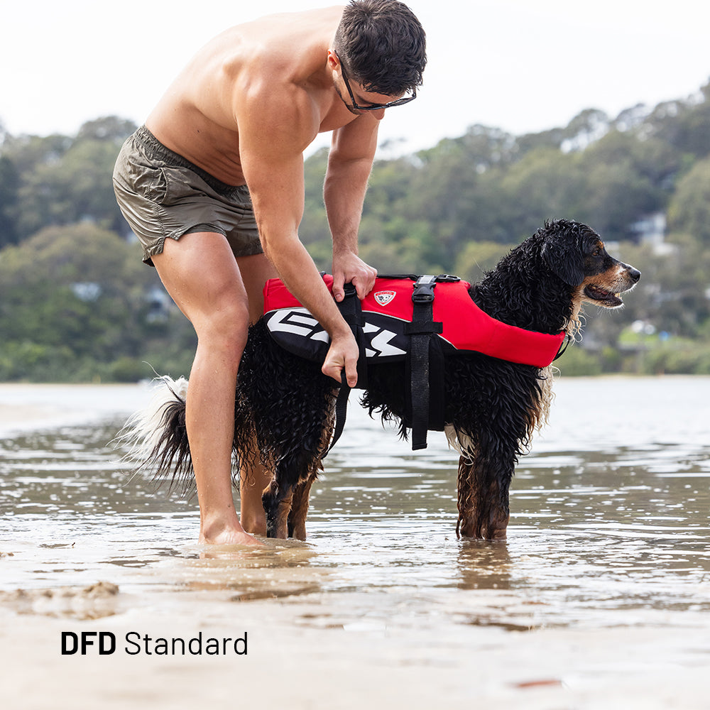 Water Explorer Bundle