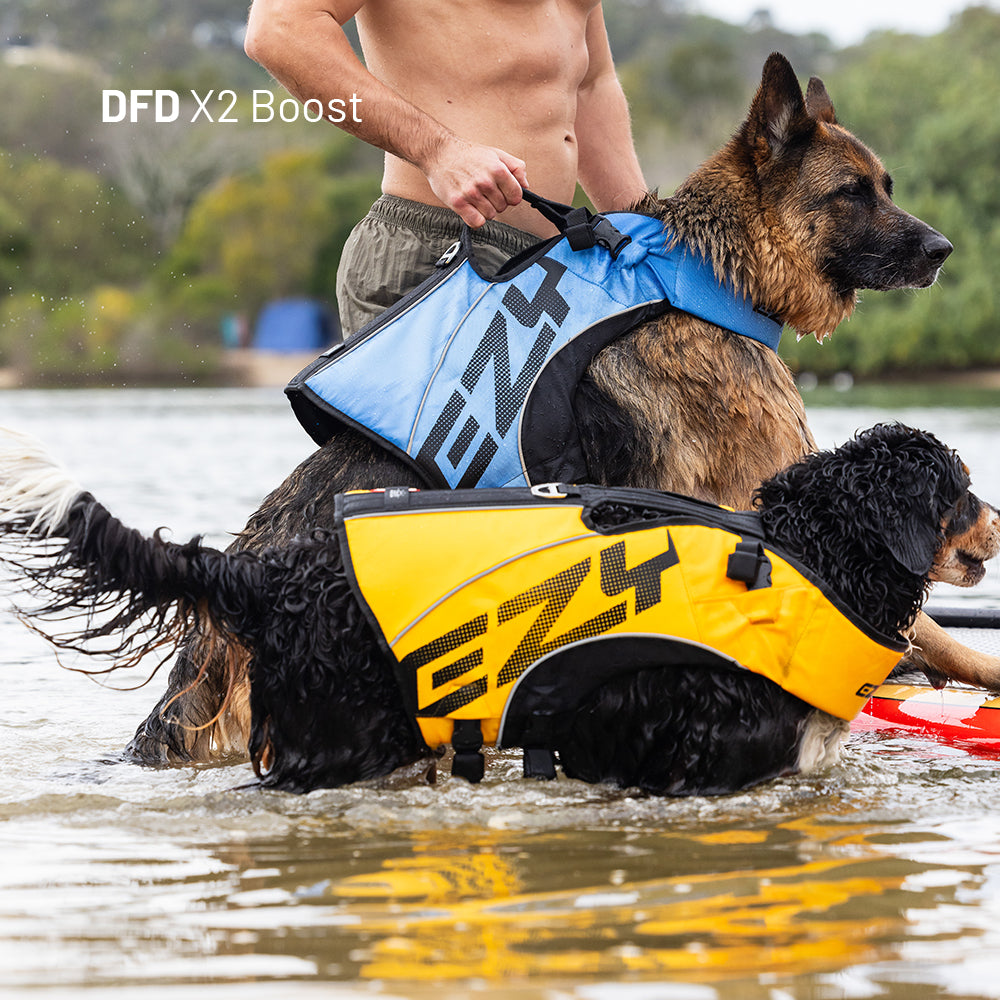 Water Explorer Bundle