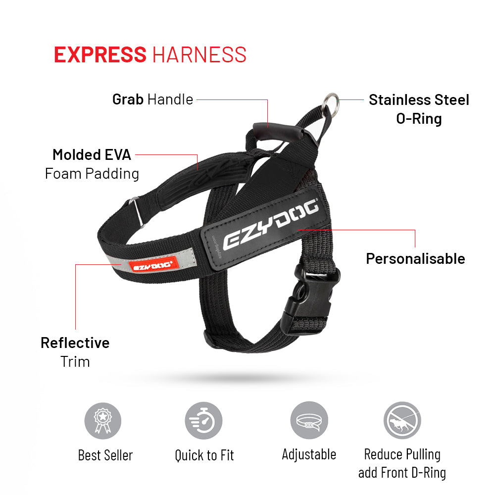 Winter Explorer Bundle