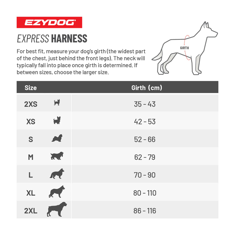 Winter Explorer Bundle