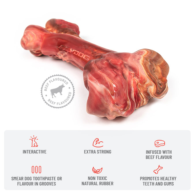 EzyBones Chew Toy
