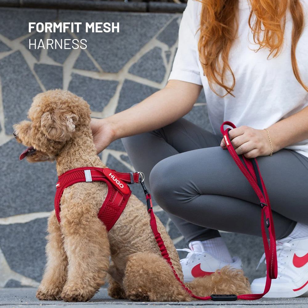 Pack Pequeño pero Valiente