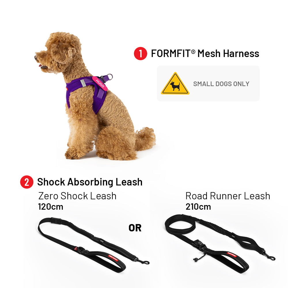 Small but Mighty Voordeelbundel