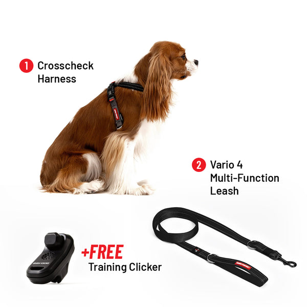 Training Essentials Bundle