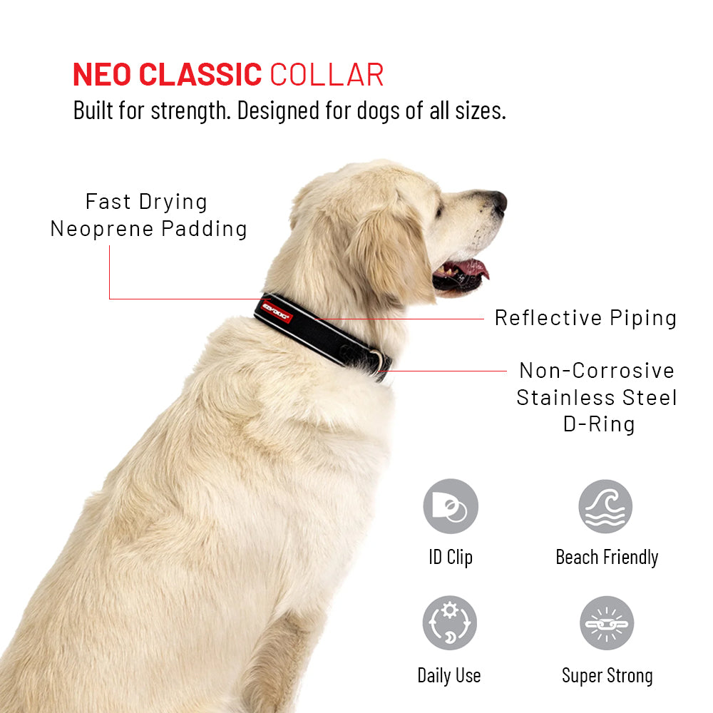 Water Explorer Bundle